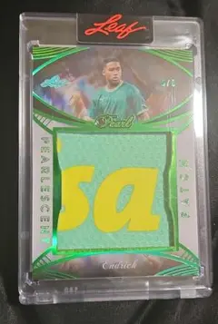 Leaf Pearl endrick Jumbo Patch Relic /6