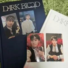 DARK BLOOD ジョンウォン トレカ まとめ売り