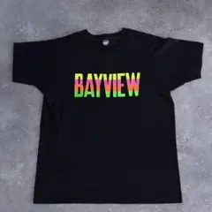 90's Alva Old Skate Tシャツ/ラスタカラー/Z-BOYZ - メルカリ