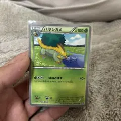 ハヤシガメ ポケモンカード 002/070 BW7