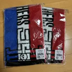 三代目JSB マフラータオル LIVE TOUR 2019 2枚セット