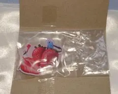 【匿名配送】パペットスンスン　キャラマグネッツ 　6　いちご