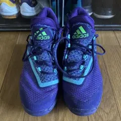 adidas バスケットボールシューズ 紫/青