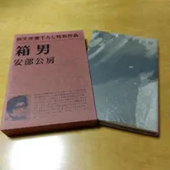 【初版】箱男 安部公房 新潮社 純文学書下ろし特別作品　希少　送料込み　匿名配送