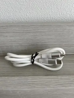 USB-C to USB-Cケーブル ホワイト 1m