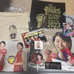 NECレッドロケッツ　山口かなめ　デザインTシャツ