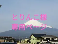 とりんこ様専用ページ♪