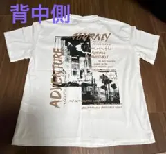 シーン【新品未使用】半袖Tシャツ 13Y14Y