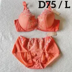 トリンプ ブラジャー 夢みるブラ フレーバーウォーター　D75＆ショーツ L