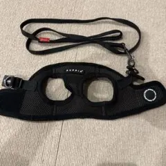 Item thumbnail for item c0107dbe-fe87-4915-9ef9-bd945d8c1615