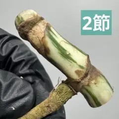 ちゃん様 リクエスト 3点 まとめ商品