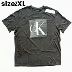 【海外限定品】カルバンクライン Tシャツ US XL JP 2XLブラック 黒
