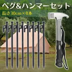 スチールペグ ハンマー セット 30cm 8本 キャンプ テント タープ 設営のサムネイル
