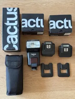 2026年最新】cactus v6の人気アイテム - メルカリ