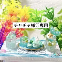 チャチャ様♡専用ページ