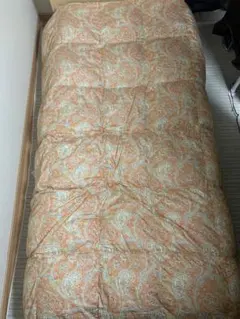 【美品/洗える】東京西川 ウクライナ産ダウン93% 肌掛け羽毛布団 0.3kgのサムネイル