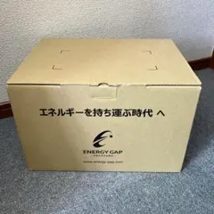 新品未使用 ENERGY GAP ポータブル電源 EGS900-S500 - メルカリ