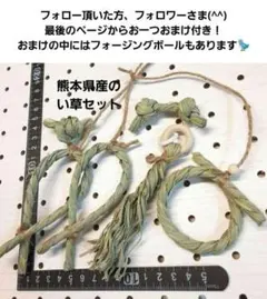 2026年最新】鳥用品 フォージングの人気アイテム - メルカリ