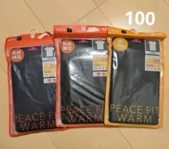 Item thumbnail for item 4940f4e0-f94d-48a2-a760-9904f3426a4d