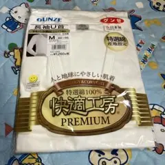 Item thumbnail for item 8b682458-5444-4758-9267-fd1f627d03ed