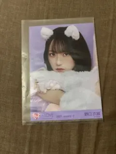 イコラブ =LOVE 生写真 野口衣織 猫衣装 7周年 ヨリ