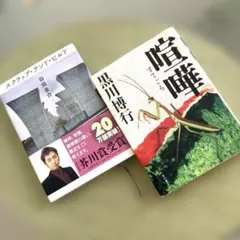 Item thumbnail for item 2b29a467-66df-40c1-ad0e-5425335bdf4e