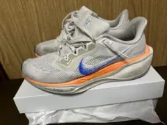NIKE ペガサス41 24.5cm