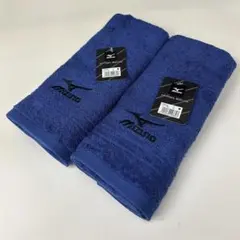 Item thumbnail for item b0540413-9f9c-4366-8856-0a1cbb319c11