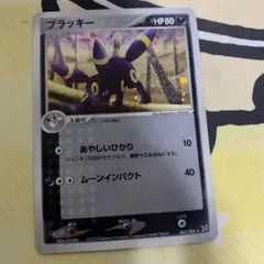 犬山　猫太様 リクエスト 2点 まとめ商品