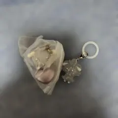 ニャスパーアクセサリー 2点セット