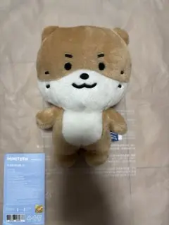 SEVENTEEN チャンダリ ミニティーン プラッシュトイ ぬいぐるみのサムネイル