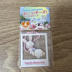 サンリオ はいっ！ポーズ！キーホルダー 2 こぎみゅん ウィッシュミーメル