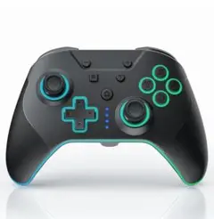 Switch コントローラー プロコン TURBO 連射 ジジャイロ機能 RGB