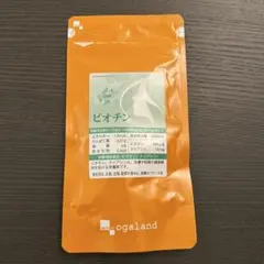 Item thumbnail for item d6512d2f-71c1-4382-8d40-6b449096fadd