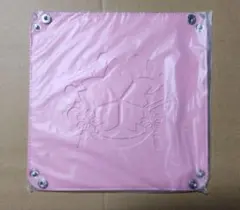 Item thumbnail for item 33711fce-1bcb-4183-b335-bf7b65808a73