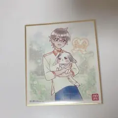 プリキュア 色紙 兎山悟 大福