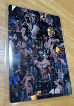 RIZIN ポテトスティック　ポスターカードコレクション　No.28