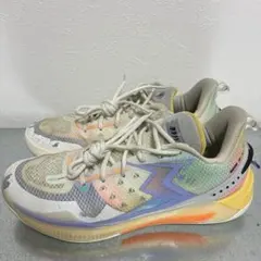 LI-NING WADE ICE 2 V2 US8.5 26cm - メルカリ