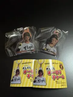 阪神タイガース めじるしオーロラチャーム 佐藤輝明　テル　森下翔太