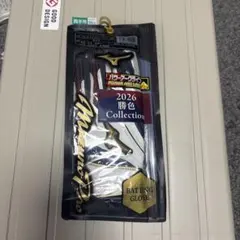 ミズノプロ　限定　勝色　バッティンググローブ　24cm 新品未使用