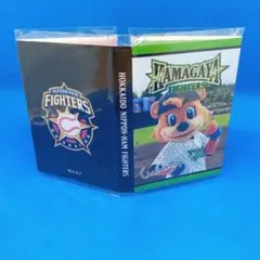 Item thumbnail for item 95ba6f08-f114-4daf-9b85-42f9b4103372