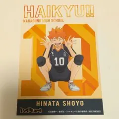 ハイキュー!! アニメイト 特典 みんなの背番号！ 烏野 カード 日向翔陽