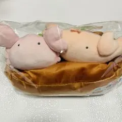 Item thumbnail for item 1736573c-bd61-4b8a-8b8c-03c887ca48d3