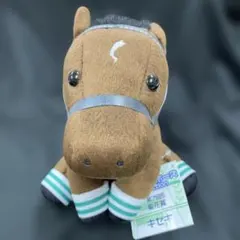 2025年最新】アイドルホース キセキの人気アイテム - メルカリ