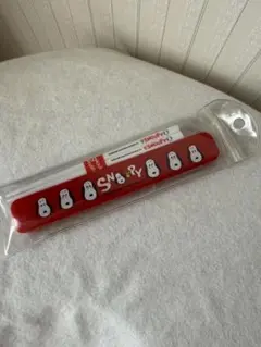 【新品】昭和レトロ スヌーピー 箸・箸箱セット
