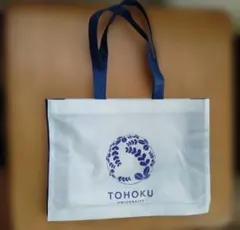 Item thumbnail for item 172fa4f4-b57b-4757-8099-b4fd83c0aa3c