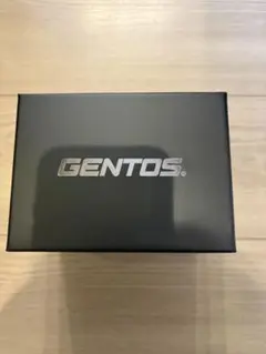 GENTOS GH-300RG ヘッドランプのサムネイル