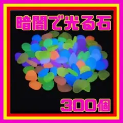 光る石 蓄光石 300個 グリーン カラフル 水槽 ガーデニングのサムネイル