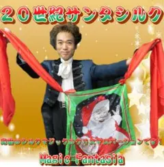 ⭐️新品未使用⭐️ ２０世紀サンタシルク