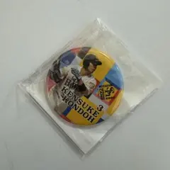 Item thumbnail for item e085a1f0-30ec-4924-8de0-e8f2dfbb89f0